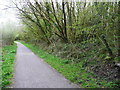 SN5005 : National Cycle Route 47 passing the Hoffman brick kiln, Horeb by Humphrey Bolton