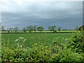 SK7532 : Farmland beneath a brooding sky by Graham Hogg