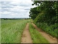 SP2535 : Track and footpath by Philip Halling