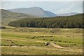 NC7416 : Herd of Deer in Sutherland, Scottish Highlands by Andrew Tryon