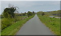 SJ3865 : Cycleway and footpath along the River Dee at Chester by Mat Fascione