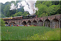 SJ6604 : Coalbrookdale Viaduct - steam special by Chris Allen