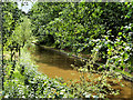 SJ4233 : Shropshire Union (Llangollen) Canal, Colemere by David Dixon