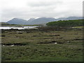 NM4439 : Salt marsh on Ulva by M J Richardson