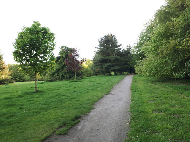 Path at the top of Golden Acre park