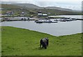 HU3733 : Marina at Bridgend by Russel Wills