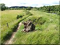 NY9165 : Damage to floodbank in Kingshaw Haugh by Oliver Dixon