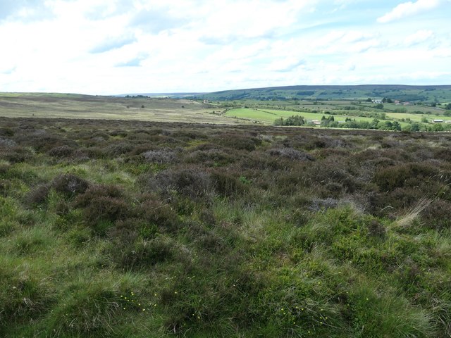 Moorland / farmland boundary near Swang Farm