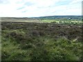 NZ7605 : Moorland / farmland boundary near Swang Farm by Christine Johnstone