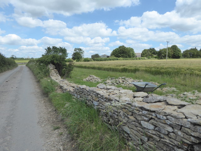 Cotswold drystone walling near Leafield Farm