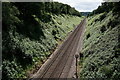 TQ0747 : Railway Line Near Shere by Peter Trimming