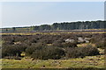 TM3549 : Landings lights at the former RAF Woodbridge airfield by Simon Mortimer