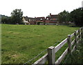 SO9218 : Sheep grazing in a Shurdington field by Jaggery