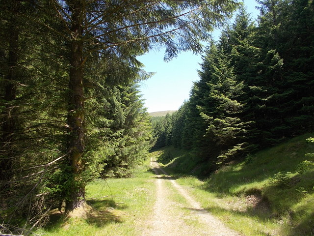 Southern Upland Way at Ettrick Head