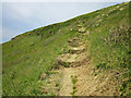 SH2989 : Uphill on the Anglesey Coastal Path by Jeff Buck