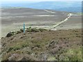 NZ7404 : Grouse butts on Glaisdale Moor by Christine Johnstone