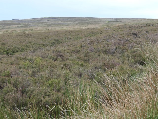 Glaisdale High Moor, near Birk Wath Beck