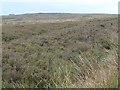 NZ7202 : Glaisdale High Moor, near Birk Wath Beck by Christine Johnstone