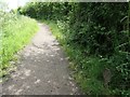 SK4743 : Unobtrusive cast iron milepost, Nottingham Canal towpath by Christine Johnstone