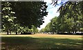 SU7683 : Parking for the 2018 Thames Traditional Boat Festival, Henley-on-Thames by Robin Stott