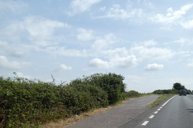 Lay-by by A35, Chilcombe Hill