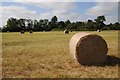 SO8845 : Hay bales at Croome by Philip Halling