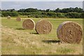 SO8845 : Five hay bales in a row by Philip Halling