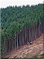 SN8355 : Timber extraction in upper Cwm Irfon, Powys by Roger  D Kidd