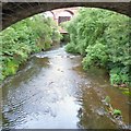 SJ8990 : River Mersey by Gerald England