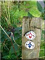 NZ2360 : Waymarkers in Watergate Forest Park by Oliver Dixon