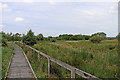 SN6862 : Boardwalk across the Bog of Tregaron, Ceredigion by Roger  D Kidd