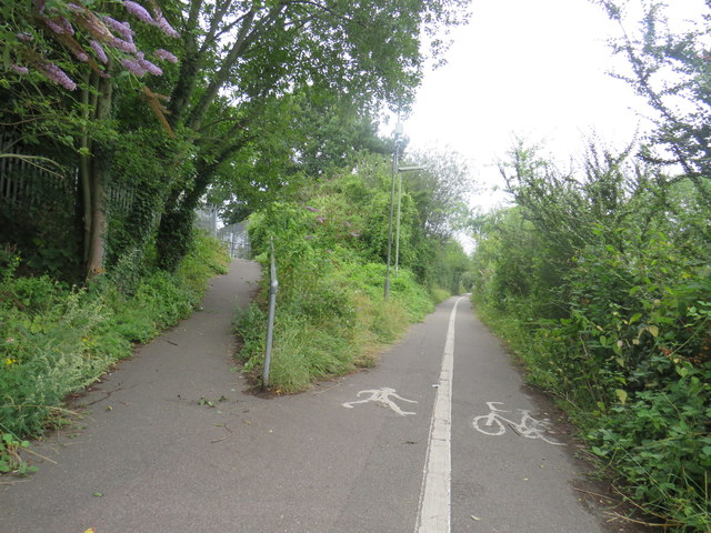 Path junction, Leatherhead