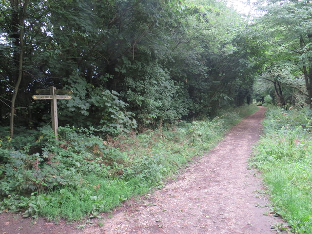 North Downs Way, near Dorking