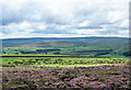 NZ0238 : Heather moorland south of Fatherley Hill by Trevor Littlewood