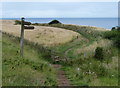 NZ8315 : Cleveland Way near Kettle Ness by Mat Fascione