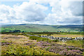 NY7050 : Wall crossing moorland on Ayle Common by Trevor Littlewood