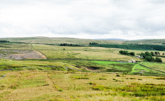 Moorland slope descending towards Ayle Burn