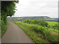 TQ1550 : North Downs Way near Dorking by Malc McDonald