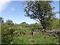 NZ1345 : Stone stile at Black Plantation by Robert Graham