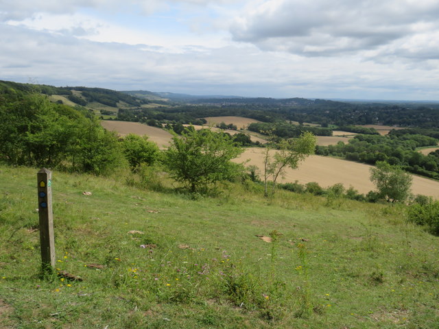 Footpath marker near Dorking