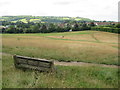 TQ1648 : Bench on The Nower, Dorking by Malc McDonald