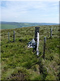  : White stone at a fence junction by Richard Law