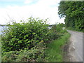 NM9436 : Loch Etive roadside by M J Richardson