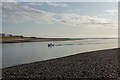 NO7256 : Man in small boat sailing on the estuary of the River South Esk by Adrian Diack