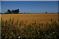 TM5080 : View east out of the churchyard, South Cove by Christopher Hilton