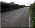 SS9271 : Hedge-lined road from Wick towards Llantwit Major by Jaggery