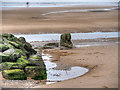 SD3143 : The Sea Ogre on Cleveleys Beach by David Dixon