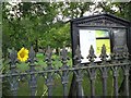 SJ9593 : Sunflower at Hyde Chapel by Gerald England