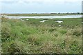 SH4558 : Afon Carrog, Y Foryd by Christine Johnstone