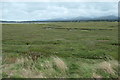 SH4458 : Y Foryd saltmarsh. near Morfa Lodge by Christine Johnstone